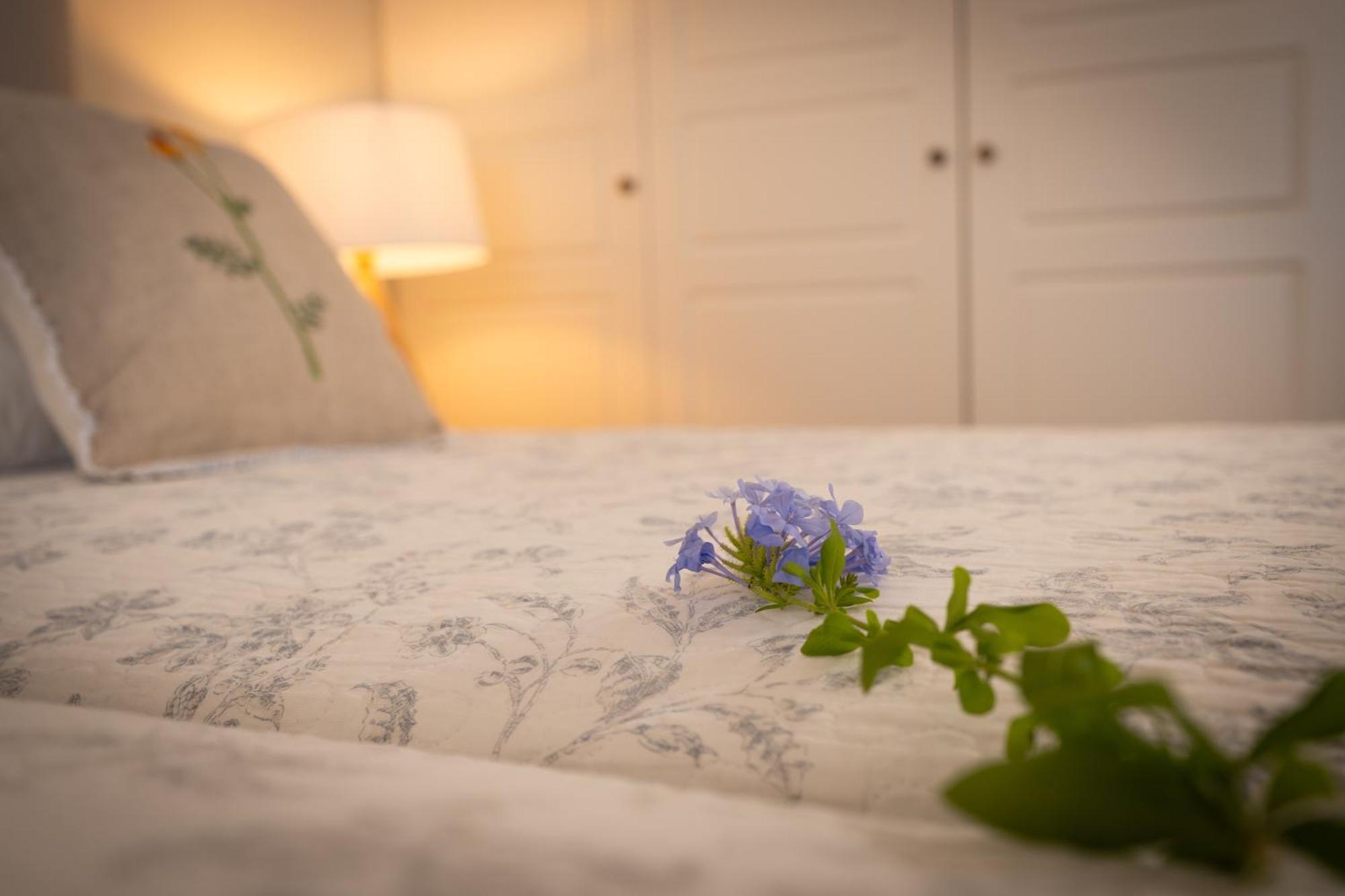 Beach Villa Aetos Kaminaki Nissaki Nisaki  Екстер'єр фото